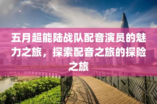 五月超能陸戰(zhàn)隊配音演員的魅力之旅，探索配音之旅的探險之旅