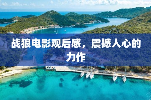 戰(zhàn)狼電影觀后感，震撼人心的力作