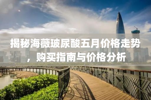 揭秘海薇玻尿酸五月價格走勢，購買指南與價格分析