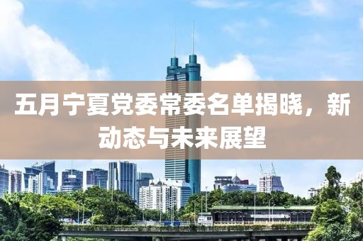五月寧夏黨委常委名單揭曉，新動態(tài)與未來展望