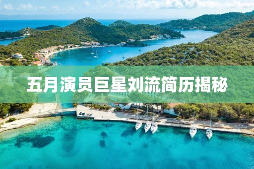 五月演員巨星劉流簡歷揭秘