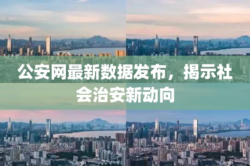 公安網(wǎng)最新數(shù)據(jù)發(fā)布，揭示社會(huì)治安新動(dòng)向