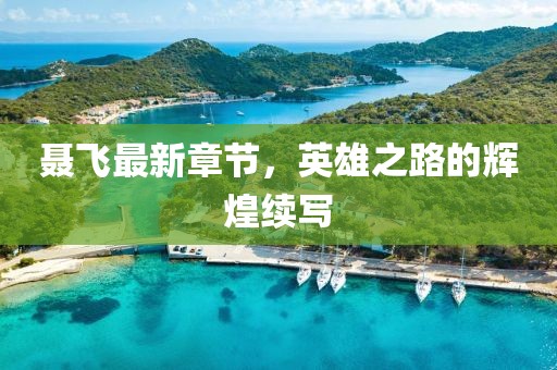 聶飛最新章節(jié)，英雄之路的輝煌續(xù)寫