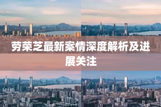 勞榮芝最新案情深度解析及進展關(guān)注