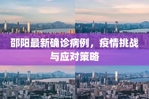 邵陽最新確診病例，疫情挑戰(zhàn)與應(yīng)對(duì)策略
