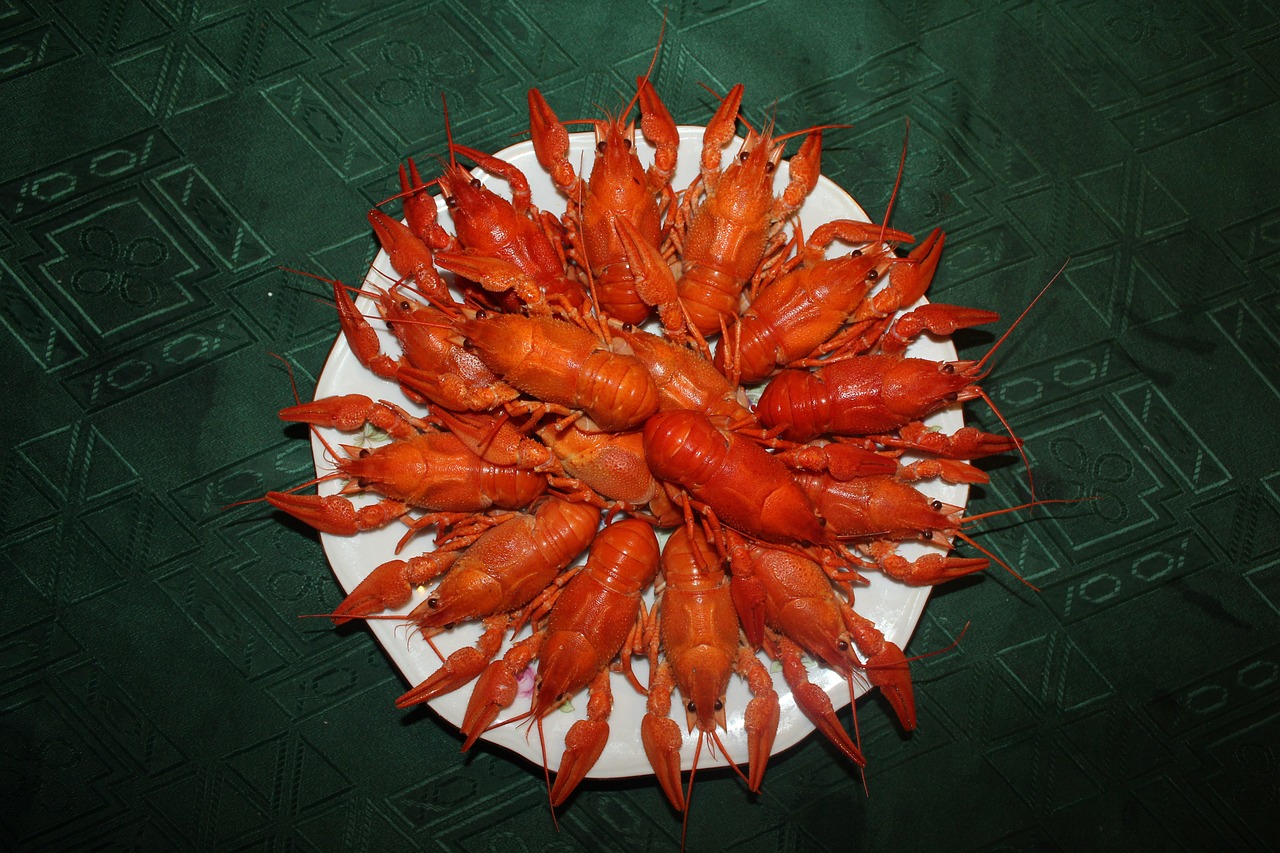 臺灣娛樂圈新勢力崛起與產(chǎn)業(yè)變革最新動態(tài)