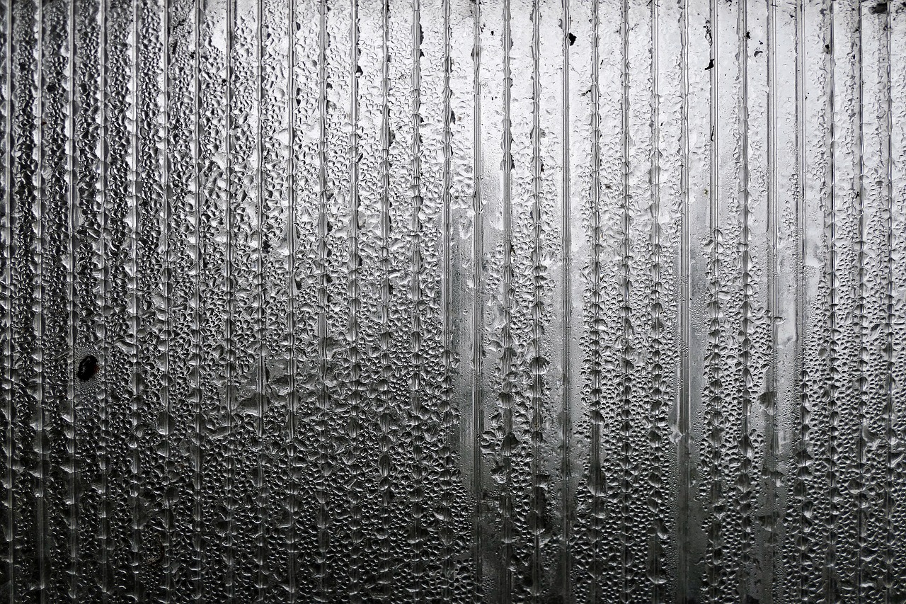 石家莊暴雨預警更新，如何應對暴雨天氣及其影響