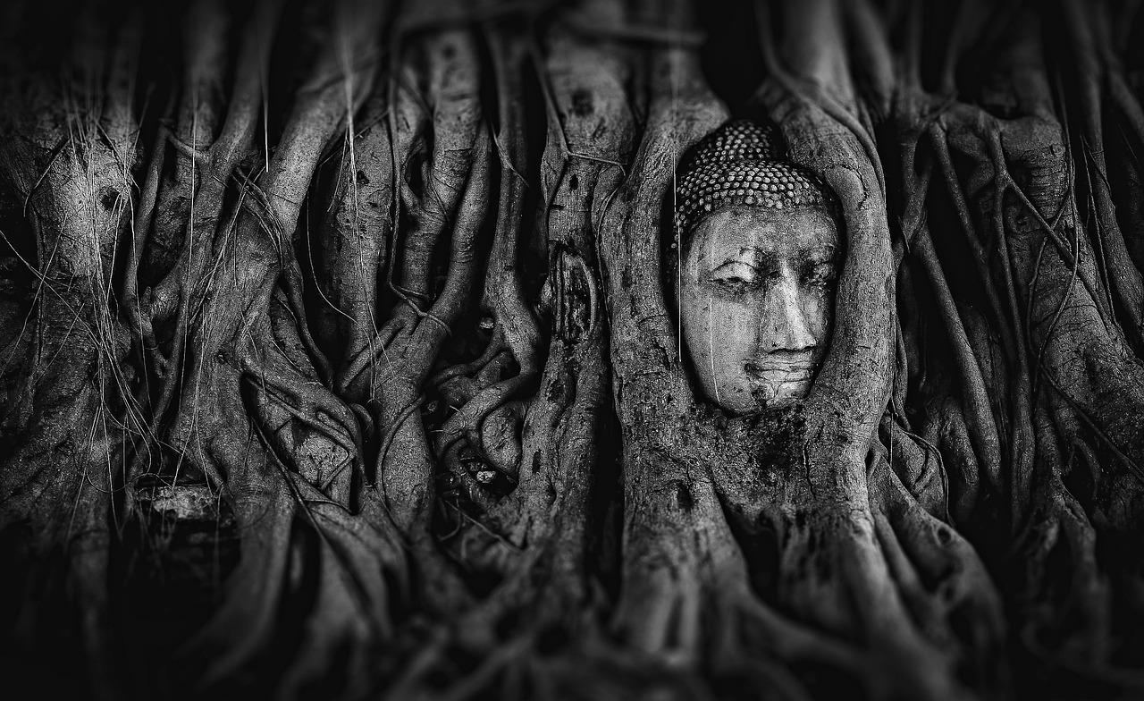探索神秘世界的奇幻之旅，最新劍魂大陸揭秘