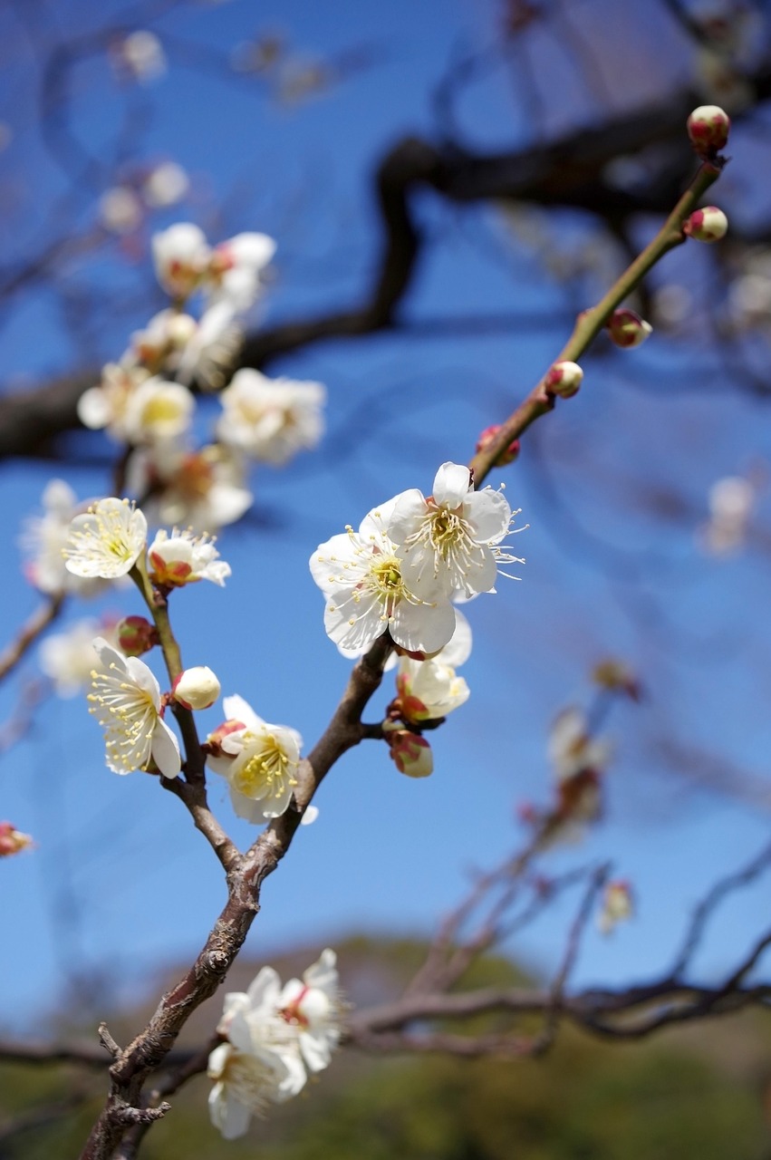 五月風(fēng)華正當(dāng)時(shí)，探尋菏澤王永江的最新動(dòng)態(tài)