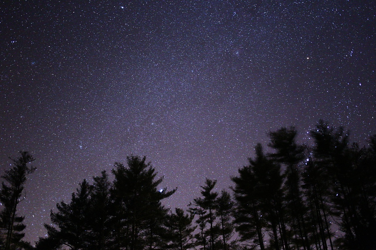 五月明星璀璨之夜，溫馨祝福視頻盛宴